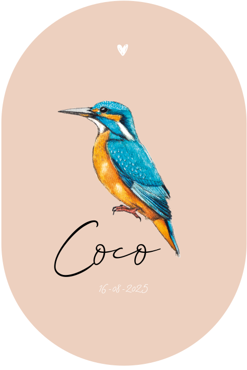 Geboortekaartje meisje stans ijsvogel