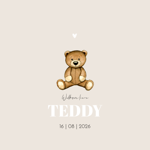 Geboortekaartje vierkant teddybeer