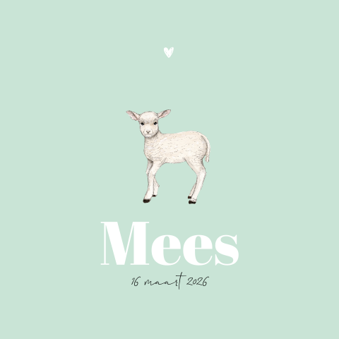 Lente Geboortekaartje jongen met lammetje