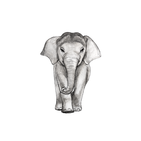 Sluitsticker baby olifant