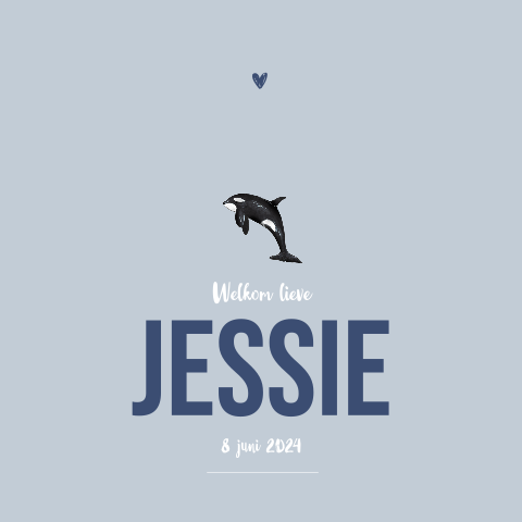 Dubbel geboortekaartje orka voor een Jongen