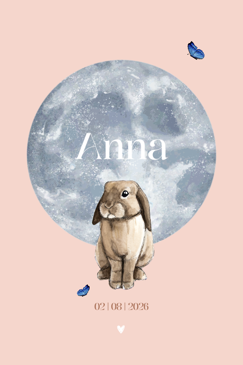 Geboortekaartje met maan en konijn