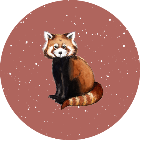 Behangcirkel Rode panda