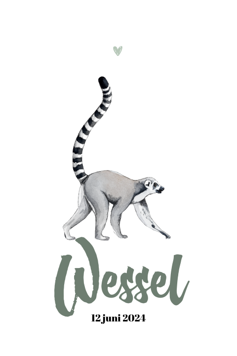 Staande enkel geboortekaartje Maki voor een Jongen