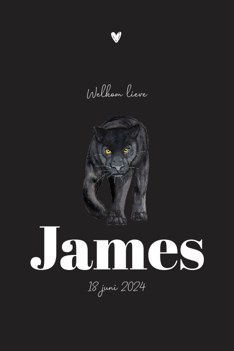 Staand geboortekaartje zwarte panter voor een jongen
