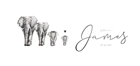 Familie olifant geboortekaartje
