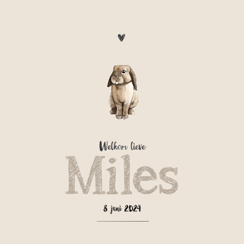 Dubbel geboortekaartje klein konijntje Hoogglans zwart voor een Jongen