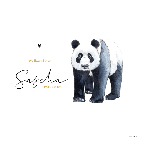 Raambord met Panda