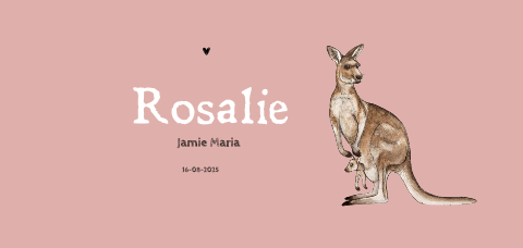 Geboortekaartje met kangoeroe panorama