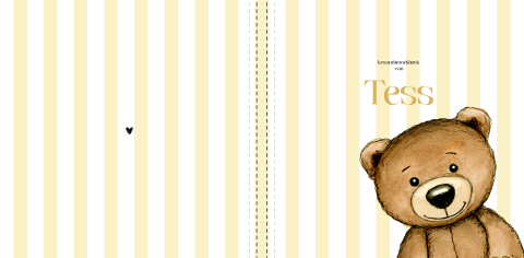 Kraambezoekboek teddy beer botergeel