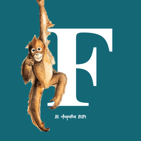 Dubbel geboortekaartje aap vierkant Initiaal Jongen