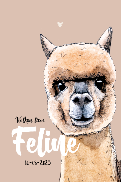 Enkel staand geboortjekaartje Alpaca Meisje