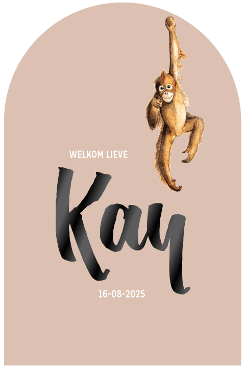 Geboortekaartje neutraal vorm venster aap