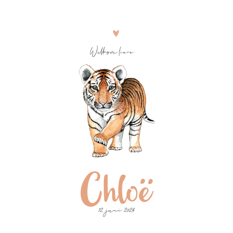 Geboortekaartje meisje met baby tijger
