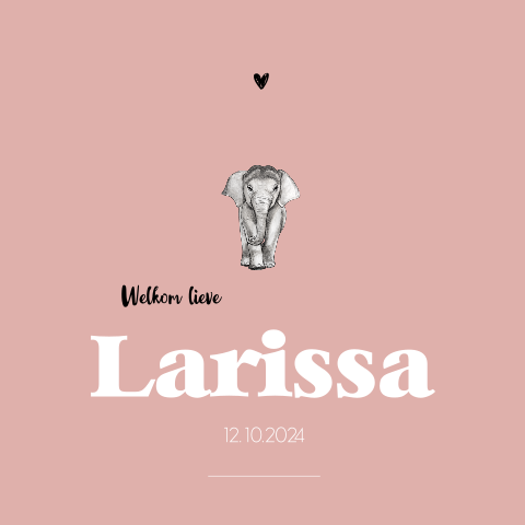 Dubbel geboortekaartje klein baby olifant Meisje