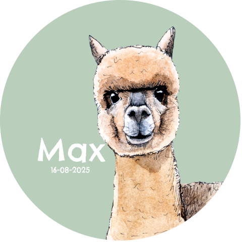 Behangcirkel groen met alpaca