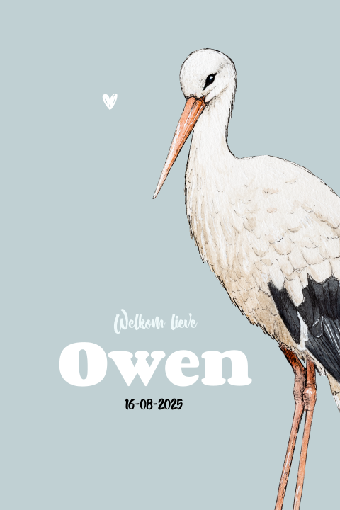 Enkel staand geboortekaartje ooievaar Jongen