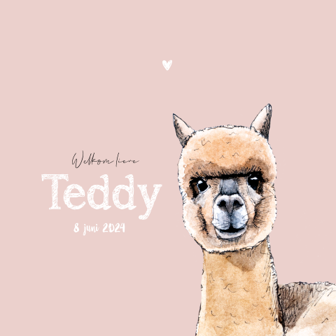 Dubbel geboortekaartje alpaca voor een meisje