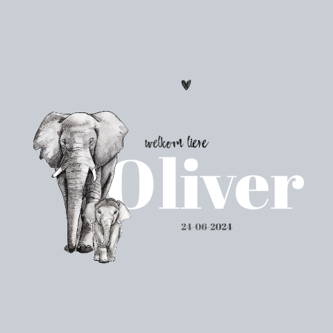 Dubbel geboortekaartje baby en grote olifant Hoogglans zwart Jongen
