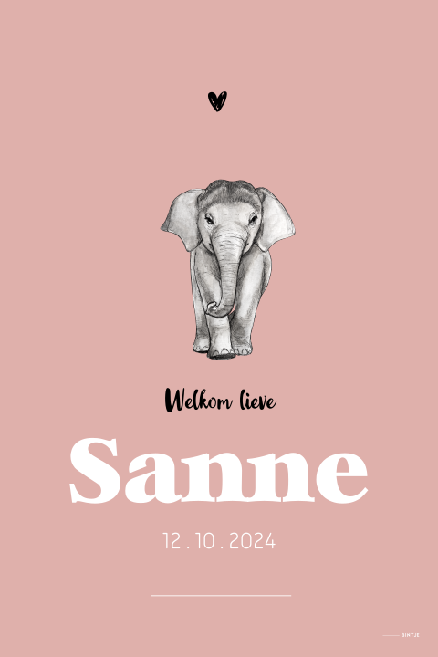 Geboorteposter met baby olifant