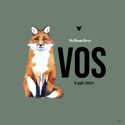 Raambord vos