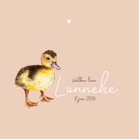 Dubbel geboortekaartje schattig eendje Meisje