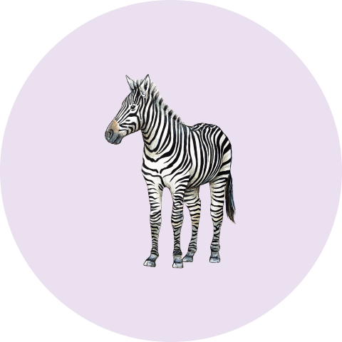 Sluitsticker Zebra