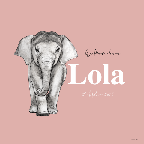 Raambord baby olifant