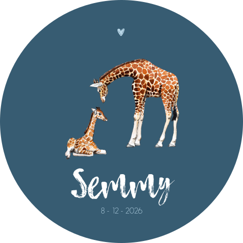 Geboortekaartje rond giraffe moeder en baby Jongen