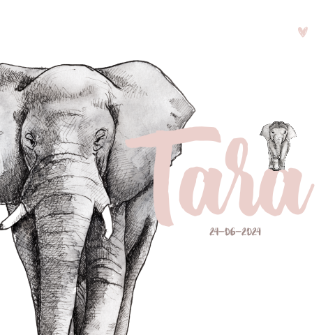 Dubbel geboortekaartje baby en grote olifant wit voor een Meisje