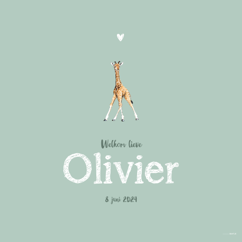 Raambord baby giraffe