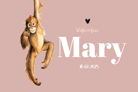 Geboortekaartje meisje liggen roze aap