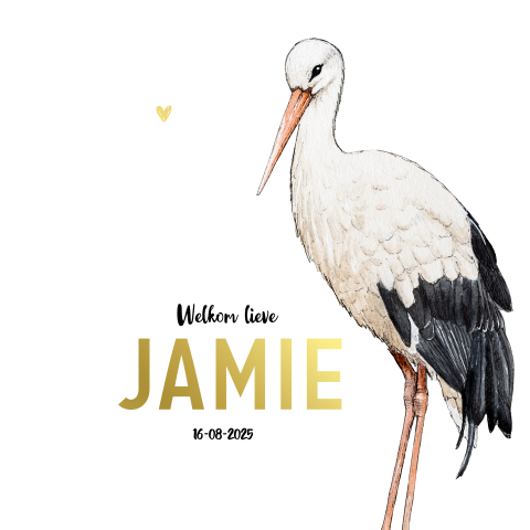 Staand enkel geboortekaartje ooievaar Goudfolie Neutraal