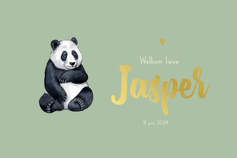 Geboortekaartje jongen panda liggend