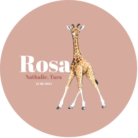 Behangcirkel oud roze baby giraffe