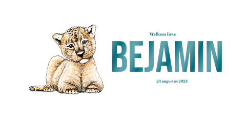 Liggend geboortekaartje met baby leeuw voor een Jongen