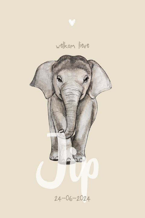 Enkel geboortekaartje baby olifant ronde hoeken Neutraal