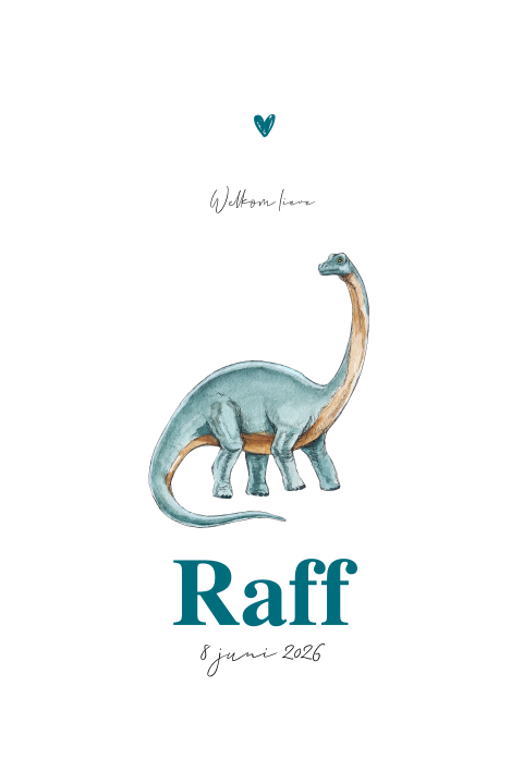 Geboortekaartje Dino staand