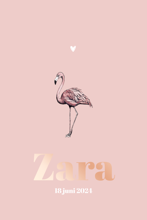 Enkel geboortekaartje Rose goudfolie flamingo meisje