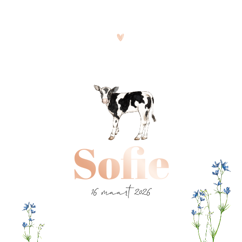 Lente Geboortekaartje meisje met kalfje