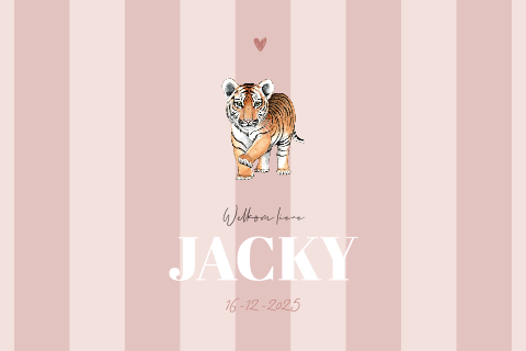 Geboortekaartje meisje strepen baby tijger
