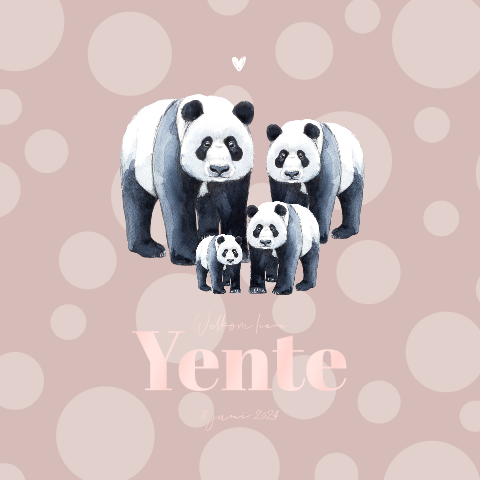 Dubbel geboortekaartje panda zusje broertje