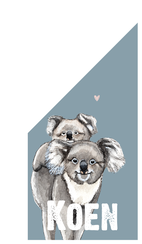 Geboortevlag met koala