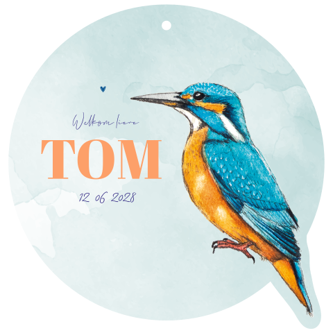 Vorm geboortekaartje met ijsvogel