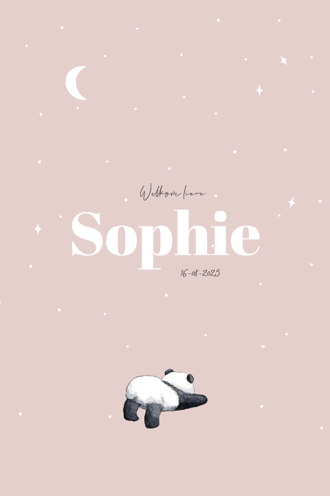 Geboortekaartje baby panda sterrenhemel