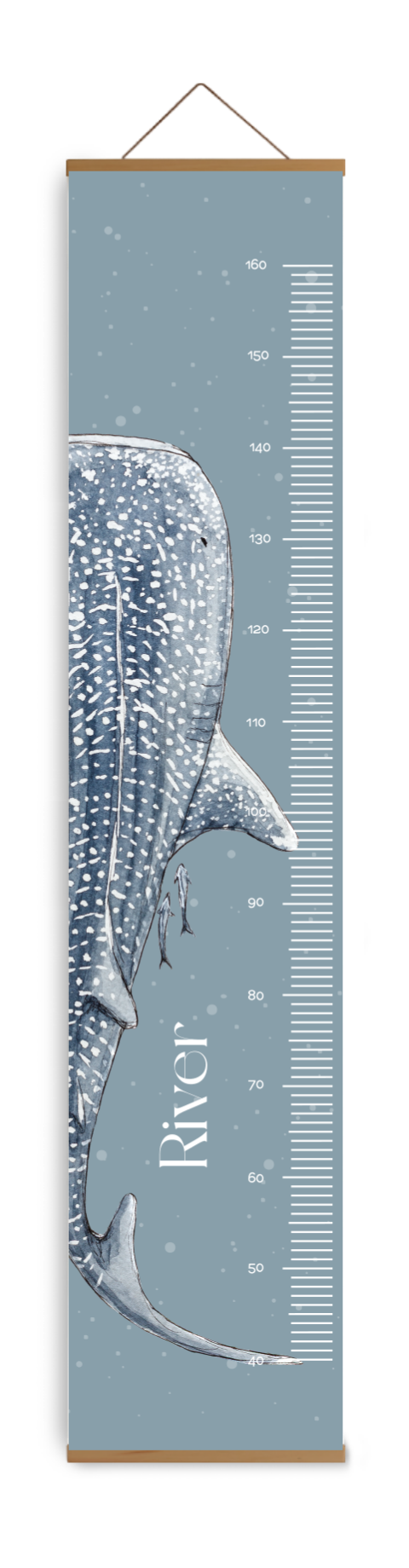 Groeimeter Walvishaai