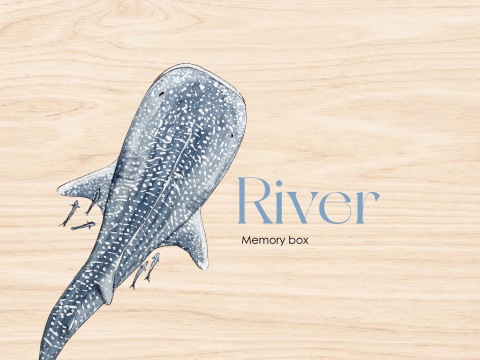 Mooie houten Memory box walvis haai