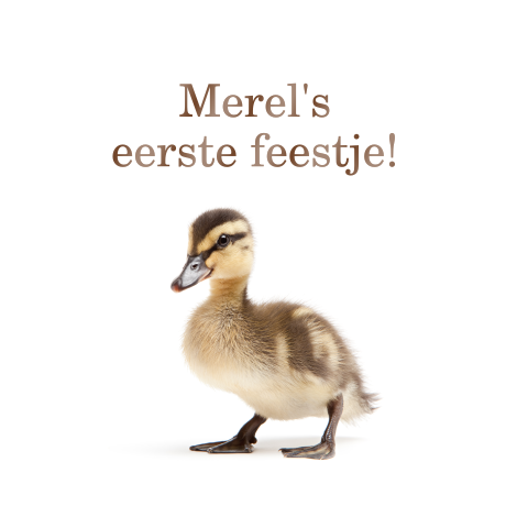Babyborrel eend