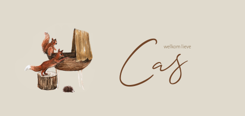 Illustratief geboortekaartje met een vos en eekhoorn bij een wieg