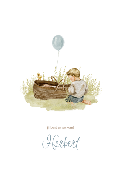 Lente geboortekaartje broertje getekend blauwe ballon